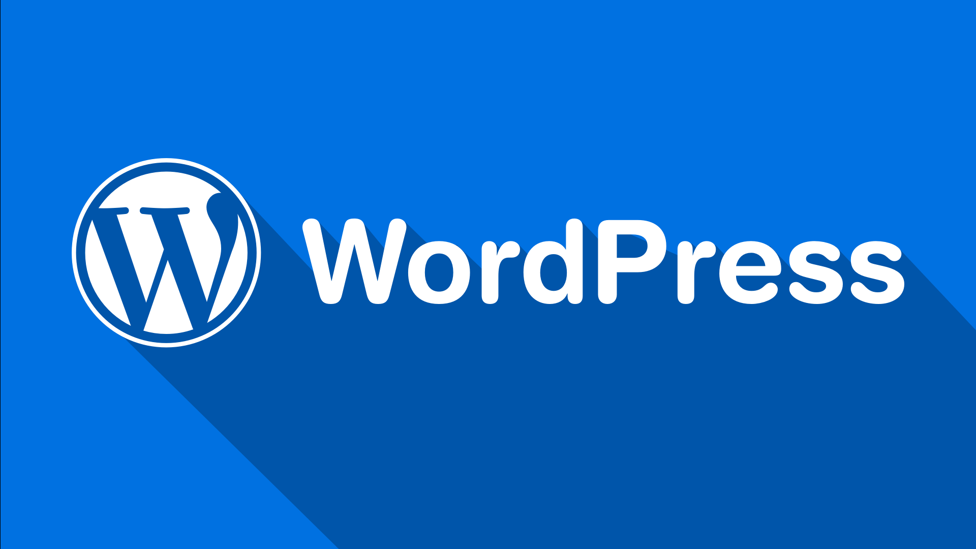 Wordpress Nedir? Nasıl Kurulur?